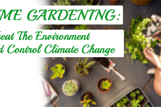 home gardening treat the environment and control climate change home gardening treat the environment and control climate change