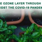 healing the ozone layer through gardening amidst the covid-19 pandemic