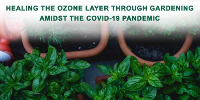 healing the ozone layer through gardening amidst the covid-19 pandemic